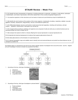 STAAR Review - Spring Branch ISD