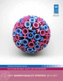UNDP GENDER EQUALITY STRATEGY 2014-2017