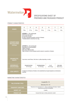 palletisation types transport conditions market life product use