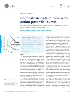 Neuroscience: Endocytosis gets in tune with action potential bursts