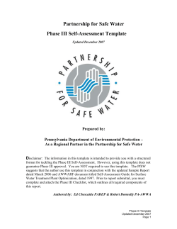 Phase III Self-Assessment Report