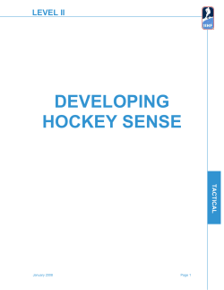 developing hockey sense