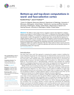 Bottom-up and top-down computations in word- and face
