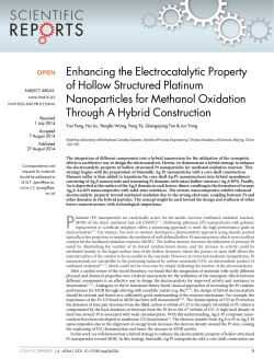 Enhancing the Electrocatalytic Property of Hollow