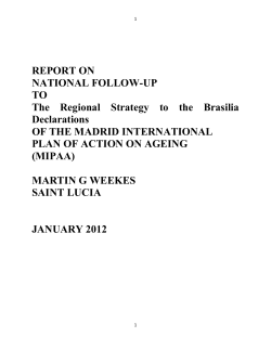 REPORT ON NATIONAL FOLLOW-UP TO The Regional Strategy to