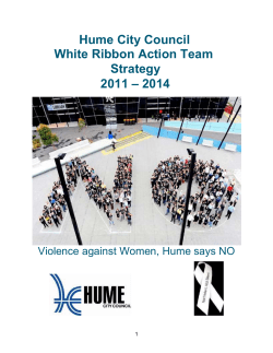 Hume City Council White Ribbon action team strategy 2011
