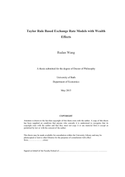 Taylor Rule Based Exchange Rate Models with Wealth Effects