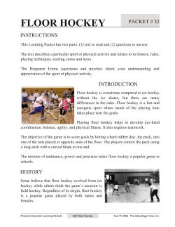 floor hockey - Henry County Schools