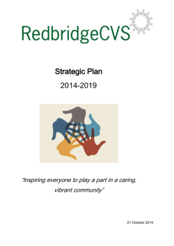 RedbridgeCVS Strategic Plan 2014 2019