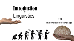 Is a gradual evolution of human language plausible?