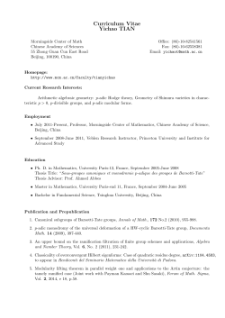 Curriculum Vitae Yichao TIAN