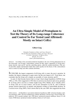 An Ultra Simple Model of Protoplasm to Test the Theory of Its Long