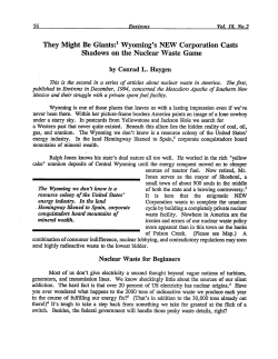 They Might Be Giants: Wyoming`s New Corporation Casts