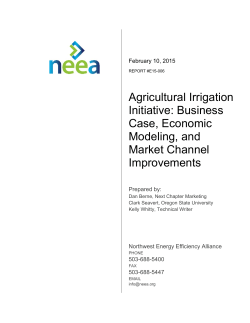 Business Case, Economic Modeling, and Market Channel
