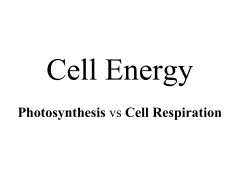 Cell Theory - Fort Bend ISD