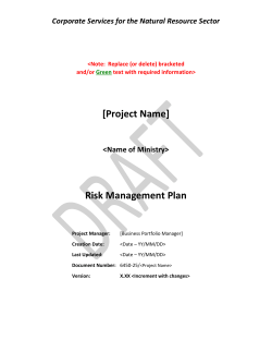 NRS Risk Management Plan Template