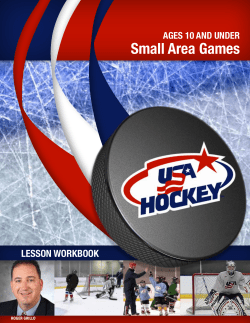 Small Area Games