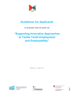 Guidelines for applicants (English language)