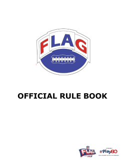 official rule book