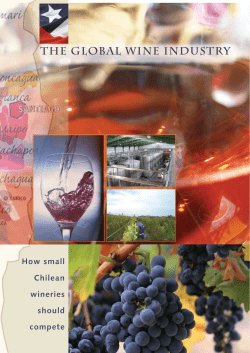 How small Chilean wineries should compete