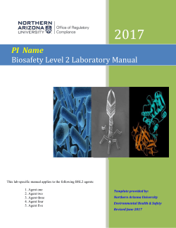 BSL2 Lab-Specific Biosafety Manual Template
