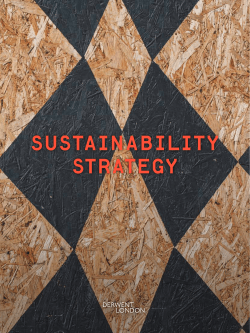 sustainability strategy