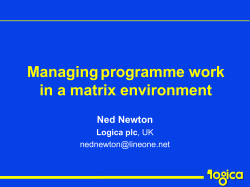 Managing programme work in a matrix environment