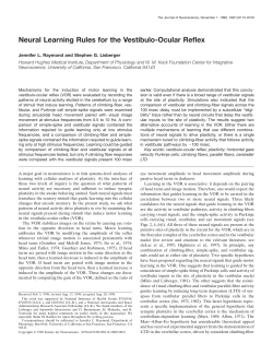 Neural Learning Rules for the Vestibulo