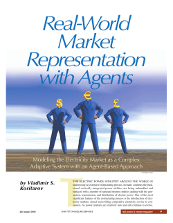 Real-world market representation with agents