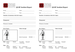 QLHF Incident Report