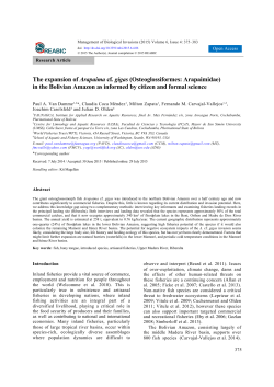 The expansion of Arapaima cf. gigas