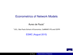 Econometrics of Network Models