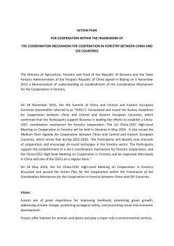Coordinating Mechanism in Forestry