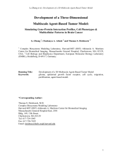 Development of a Three-Dimensional Multiscale Agent