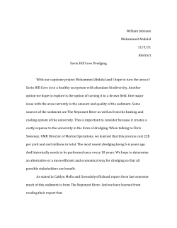 Capstone abstract