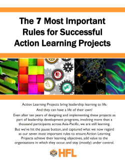 The 7 Most Important Rules for Successful Action Learning Projects