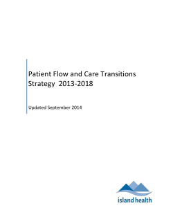 Patient Flow and Care Transitions Strategy 2013-2018