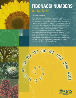 Fibonacci Numbers in Nature