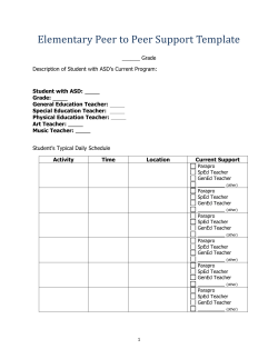 Elementary Peer to Peer Support Template