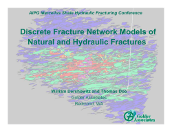 Discrete Fracture Network Models of Natural and Hydraulic Fractures