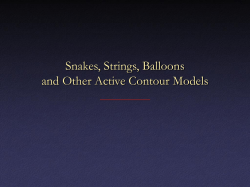 Snakes, Strings, Balloons and Other Active Contour Models
