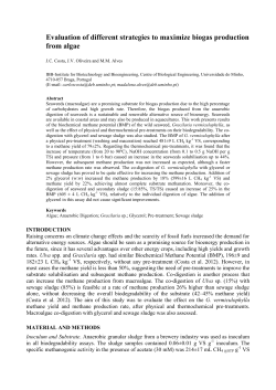Evaluation of different strategies to maximize biogas production from