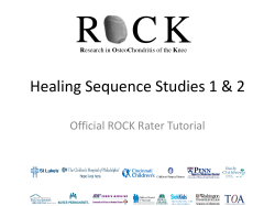 sclerosis, size, ossification, boundary, overall healing
