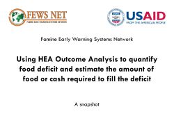 - Food Security Cluster