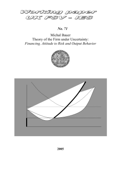 No. 71 Michal Bauer Theory of the Firm under