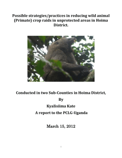 Possible strategies/practices in reducing wild animal (Primate) crop