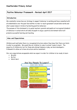 Pos Beh Strategy H Den updated (1)