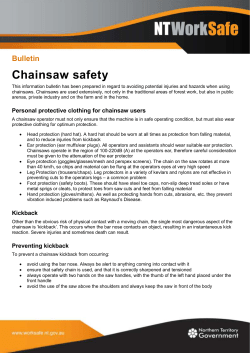 Chainsaw safety
