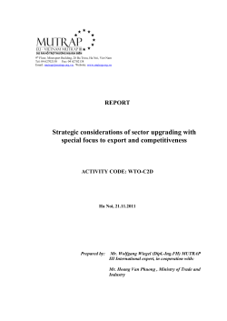 Strategic considerations of sector upgrading with special