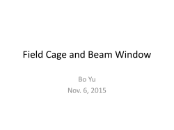 Beam Window E Field